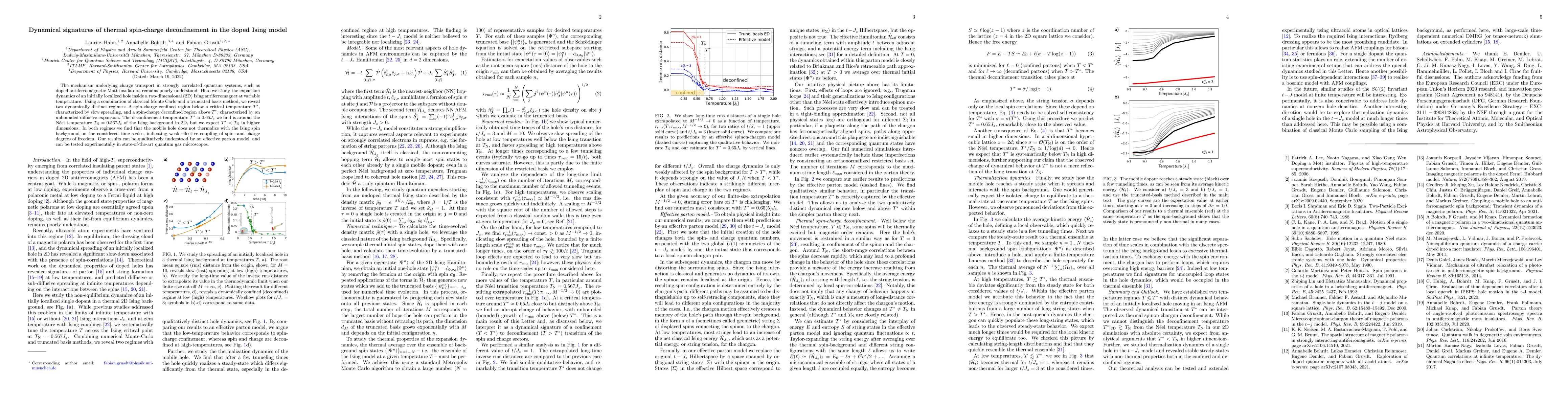 Thumbnail for Dynamical signatures of thermal spin-charge deconfinement in the doped
  Ising model