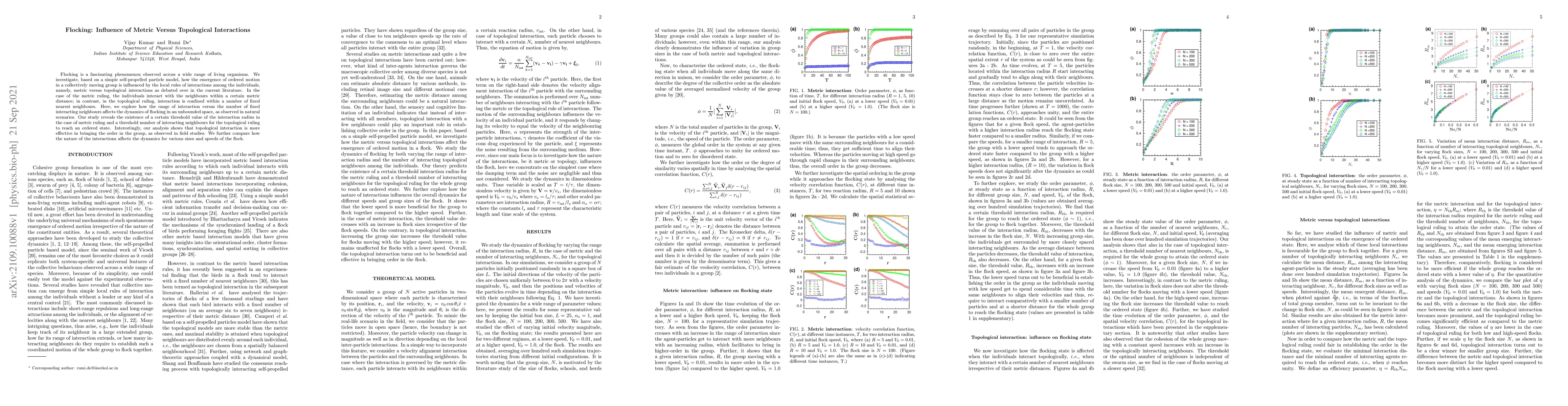 Thumbnail for Flocking: Influence of Metric Versus Topological Interactions