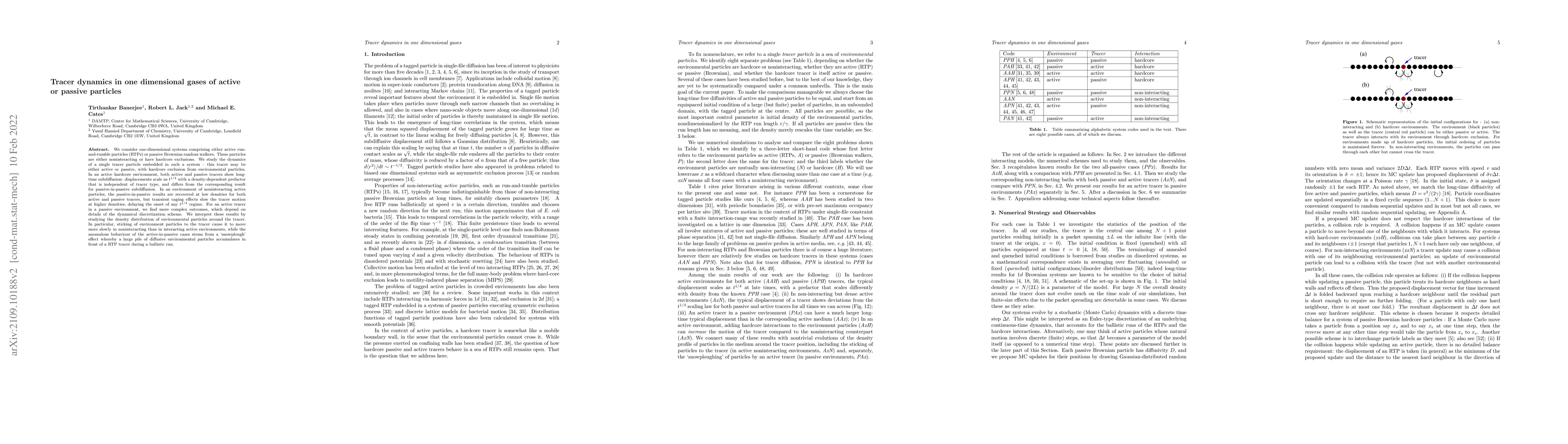 Thumbnail for Tracer dynamics in one dimensional gases of active or passive particles