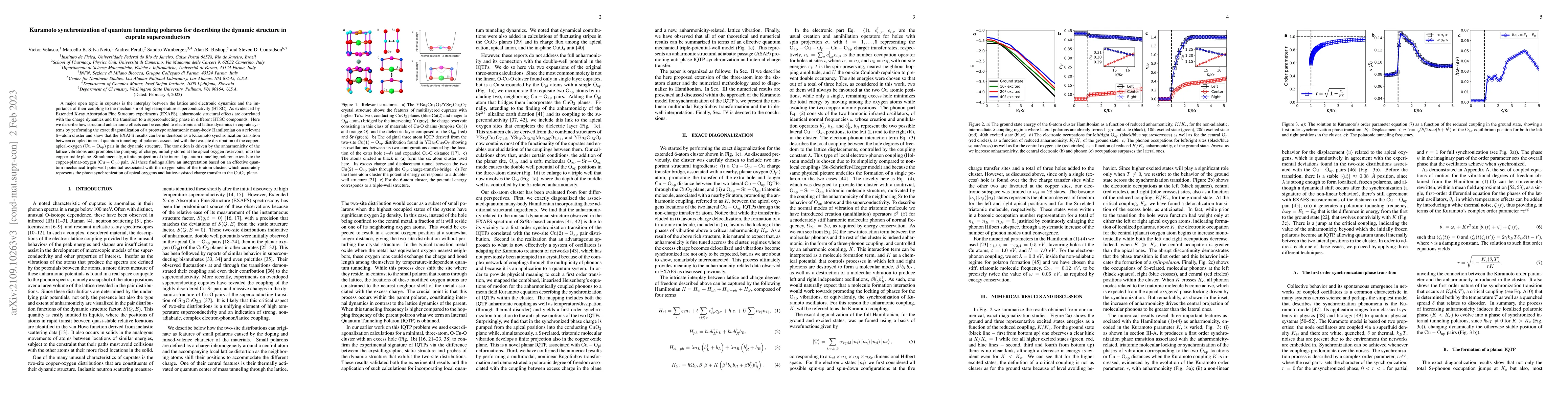 Thumbnail for Kuramoto synchronization of quantum tunneling polarons for describing
  the dynamic structure in cuprate superconductors