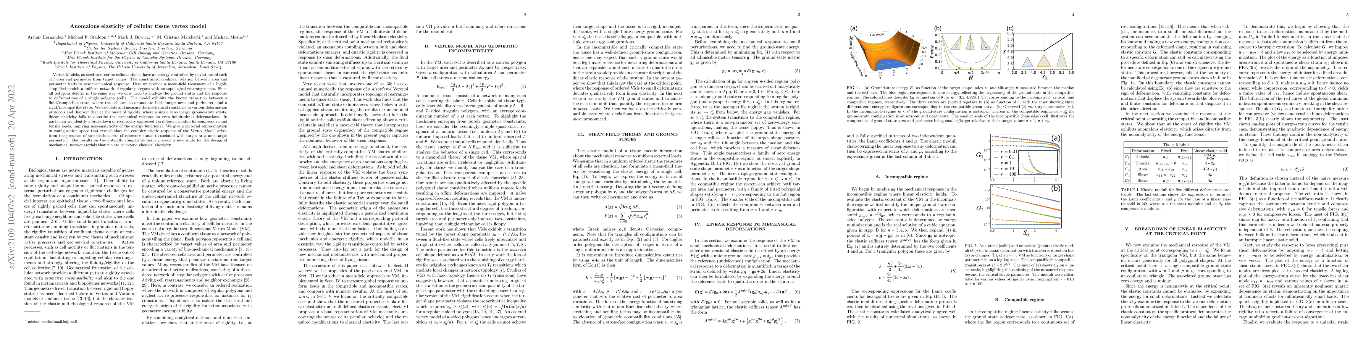 Thumbnail for Anomalous elasticity of cellular tissue vertex model