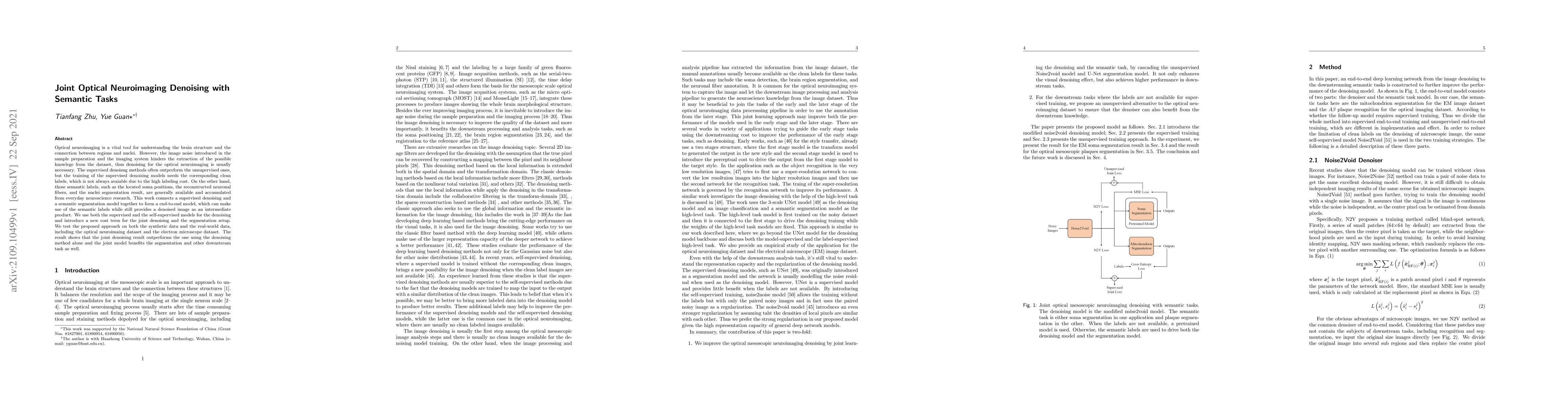 Thumbnail for Joint Optical Neuroimaging Denoising with Semantic Tasks
