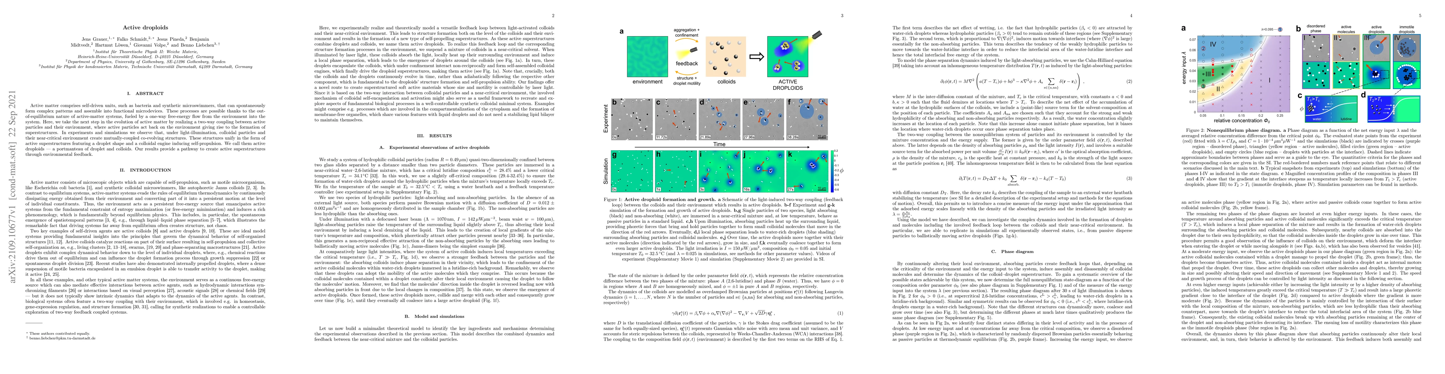 Thumbnail for Active droploids