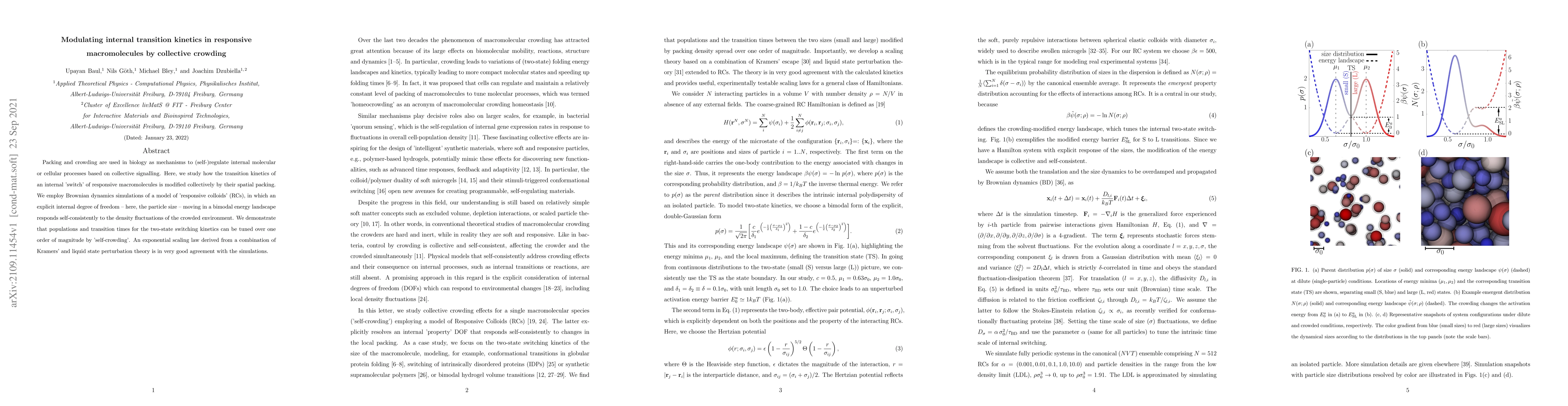 Thumbnail for Modulating internal transition kinetics in responsive macromolecules by
  collective crowding