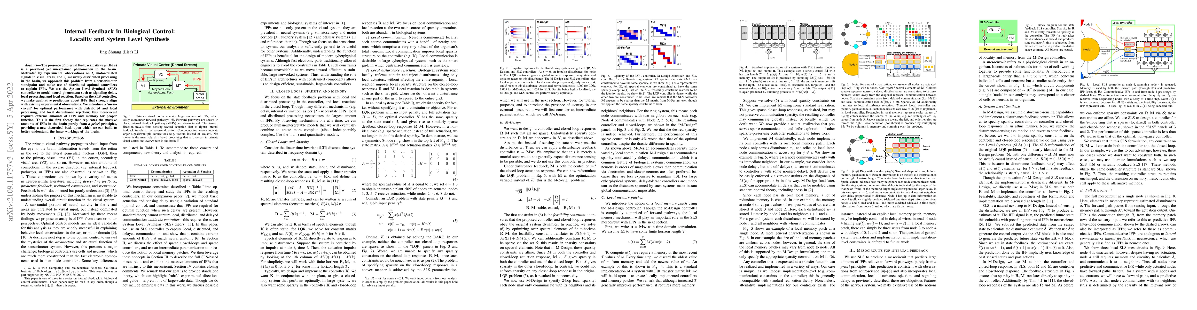 Thumbnail for Internal Feedback in Biological Control: Locality and System Level
  Synthesis