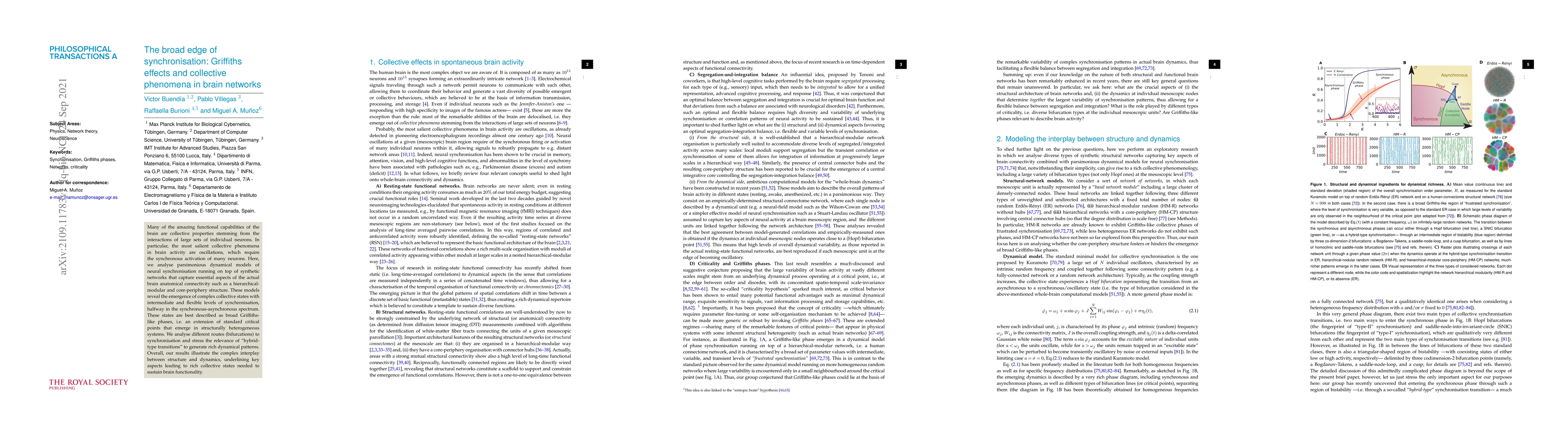 Thumbnail for The broad edge of synchronisation: Griffiths effects and collective
  phenomena in brain networks