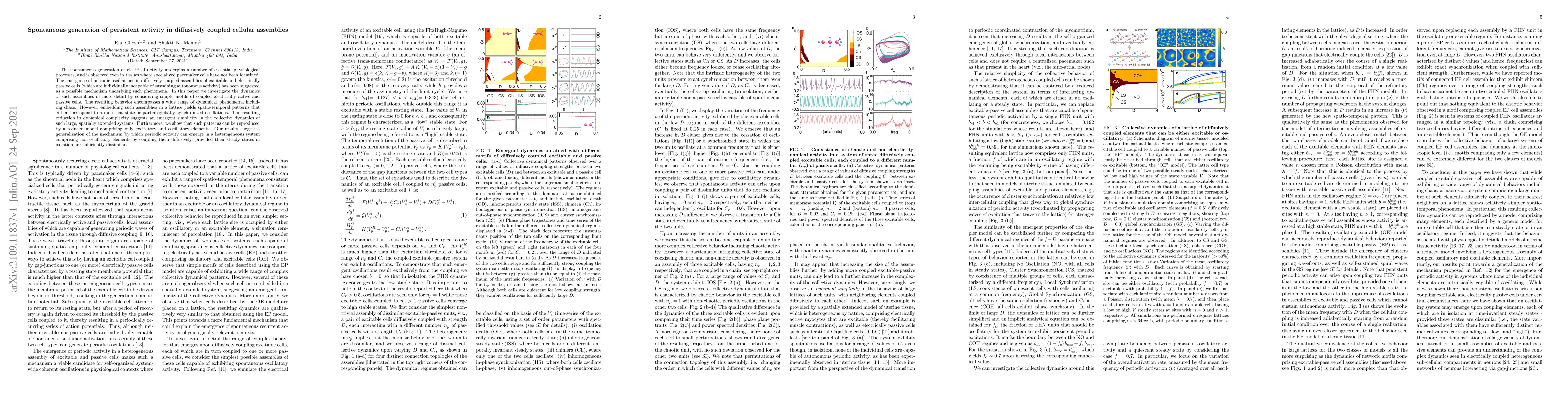 Thumbnail for Spontaneous generation of persistent activity in diffusively coupled
  cellular assemblies