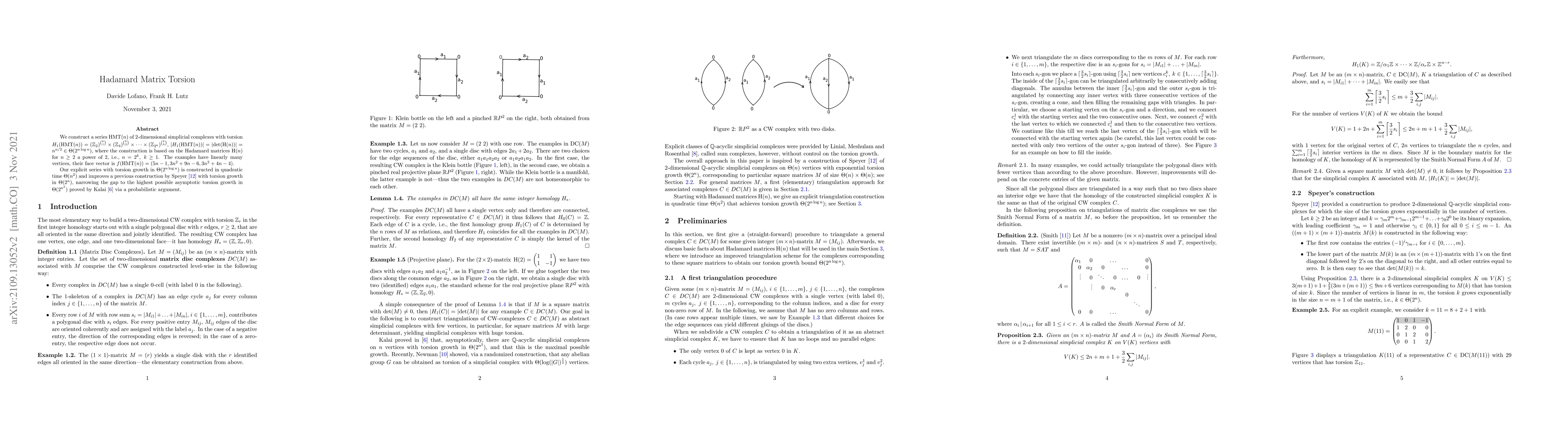 Thumbnail for Hadamard Matrix Torsion