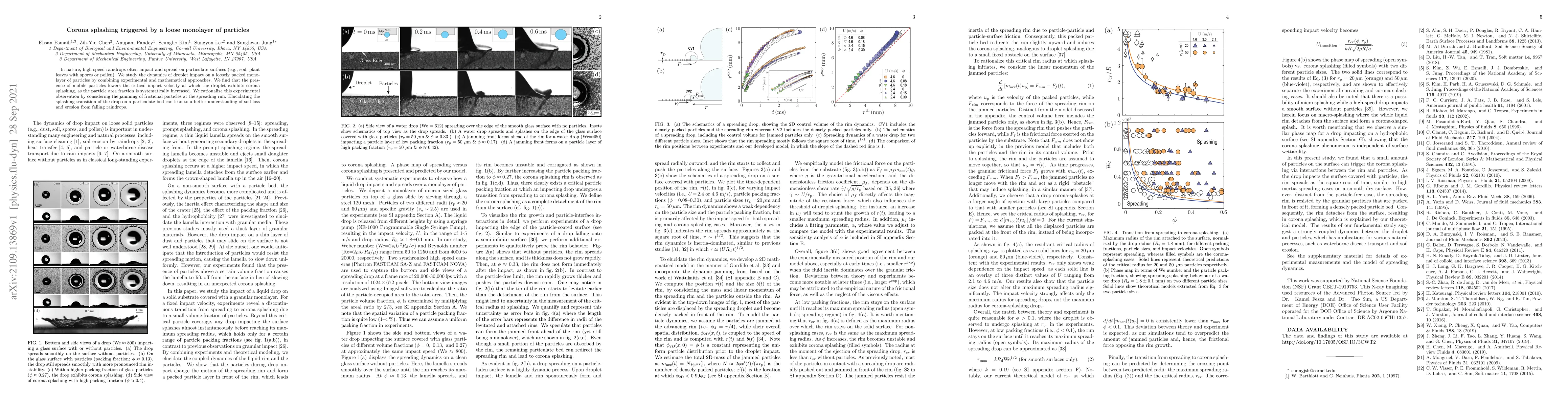 Thumbnail for Corona splashing triggered by a loose monolayer of particles