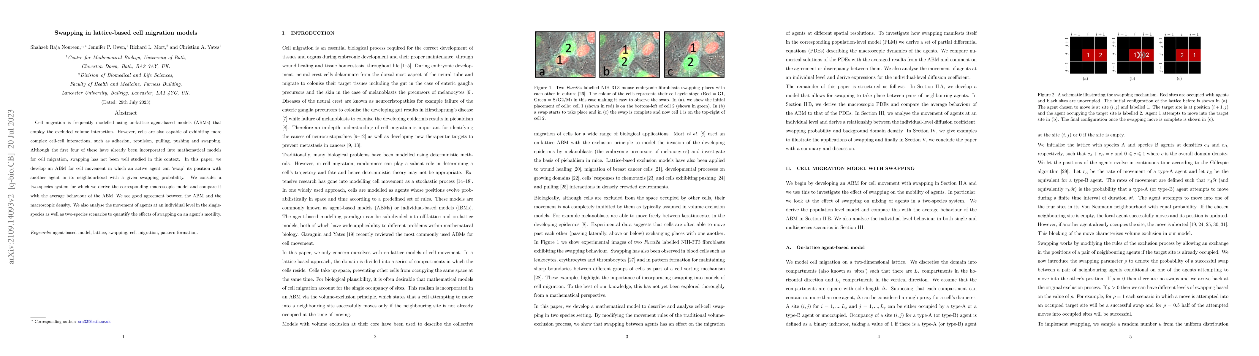 Thumbnail for Swapping in lattice-based cell migration models