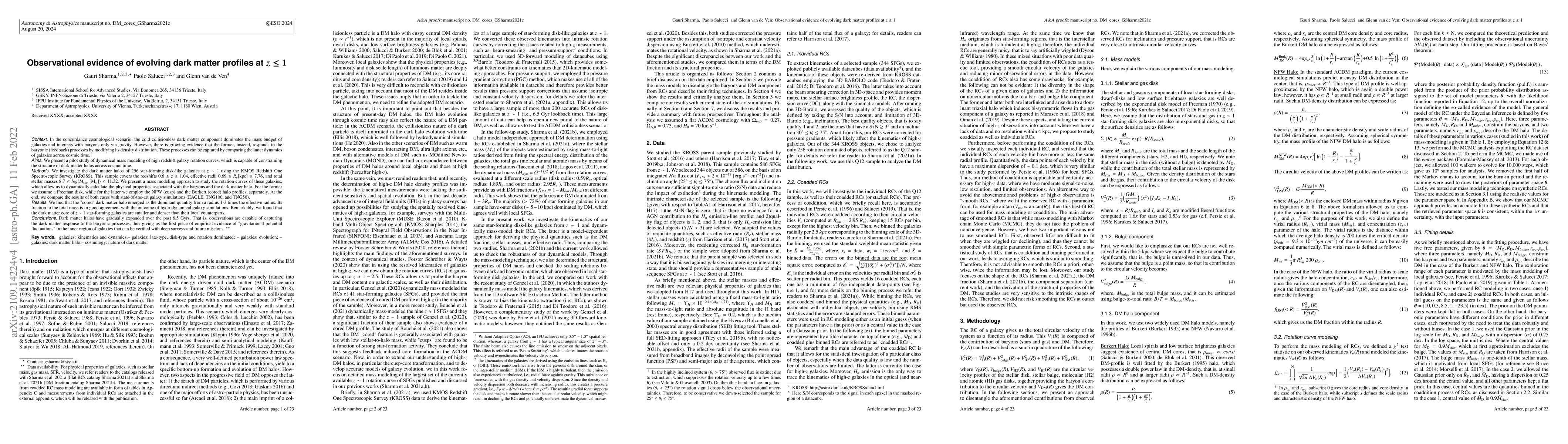 Thumbnail for Observational Evidence of Evolving Dark Matter Profiles at $z\leq 1$
