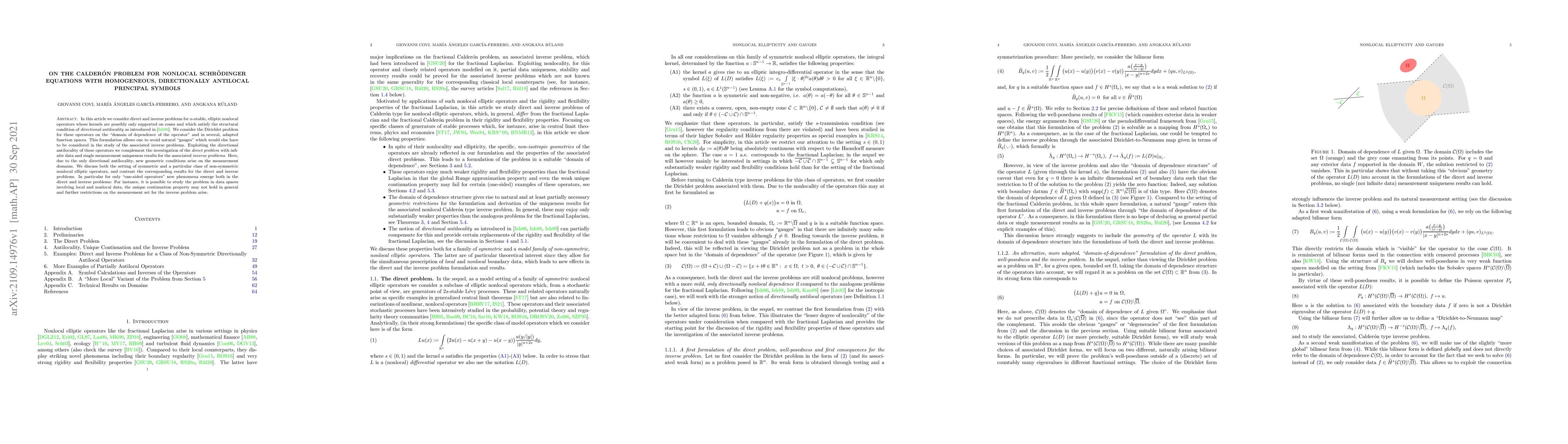 Thumbnail for On the Calder\'on problem for nonlocal Schr\"odinger equations with
  homogeneous, directionally antilocal principal symbols