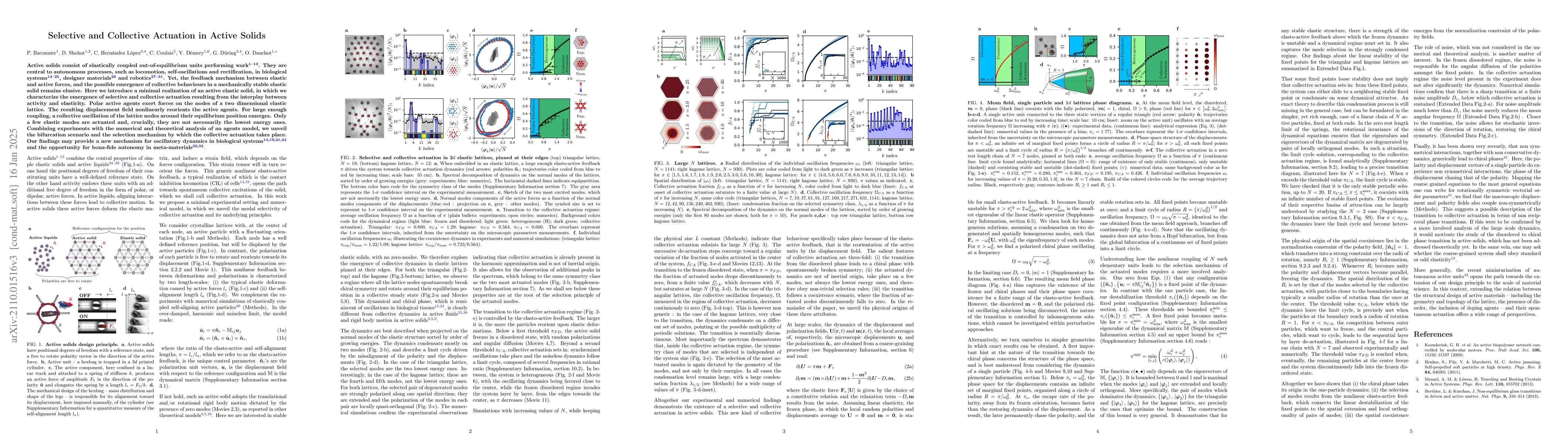 Thumbnail for Selective and Collective Actuation in Active Solids