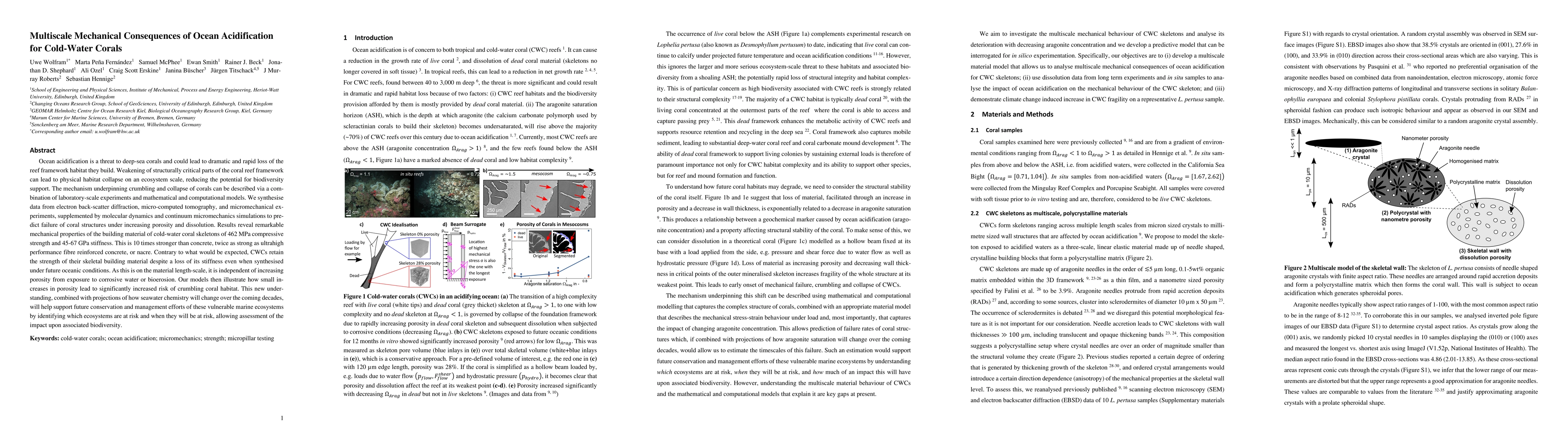 Thumbnail for Multiscale Mechanical Consequences of Ocean Acidification for Cold-Water
  Corals