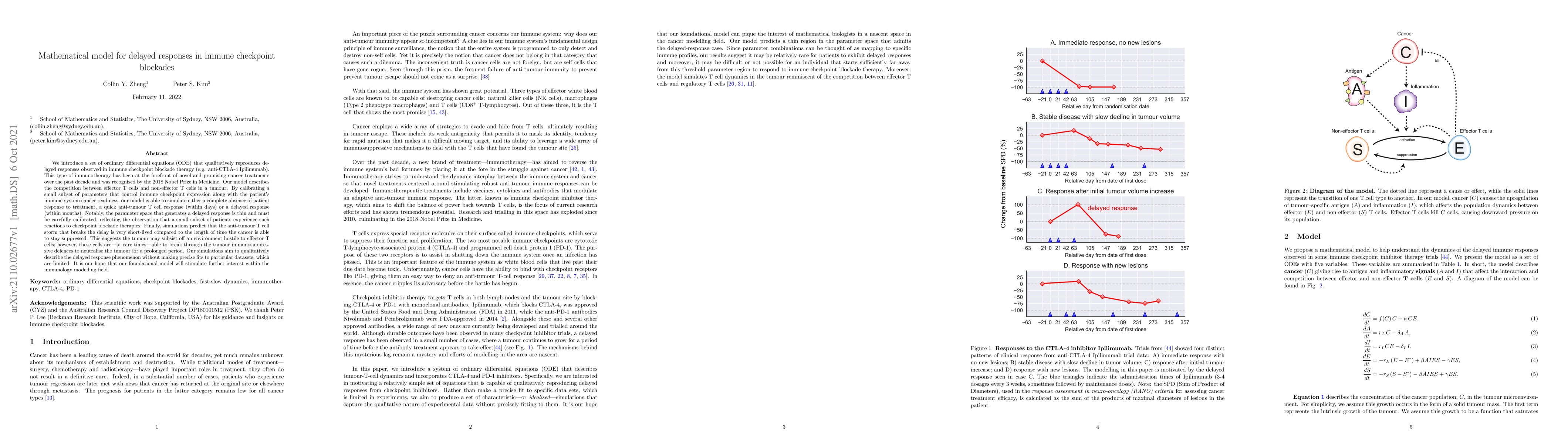 Thumbnail for Mathematical model for delayed responses in immune checkpoint blockades
