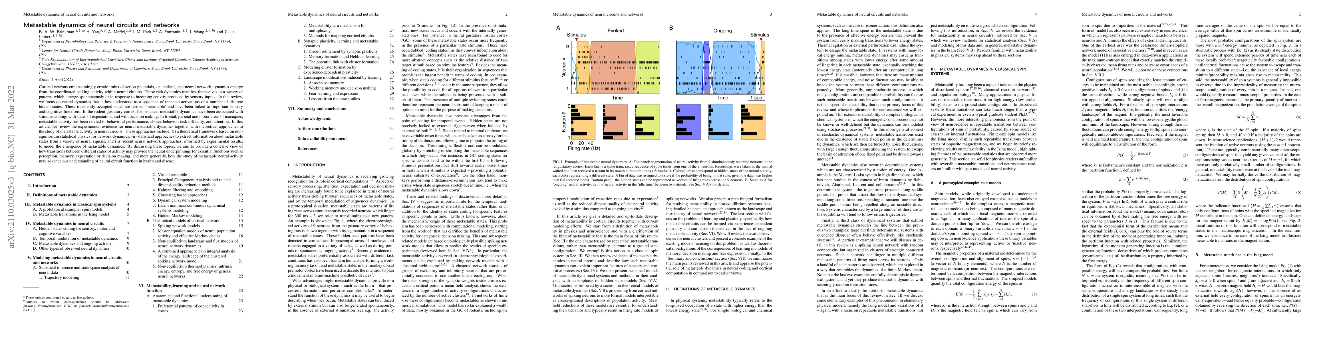 Thumbnail for Metastable dynamics of neural circuits and networks