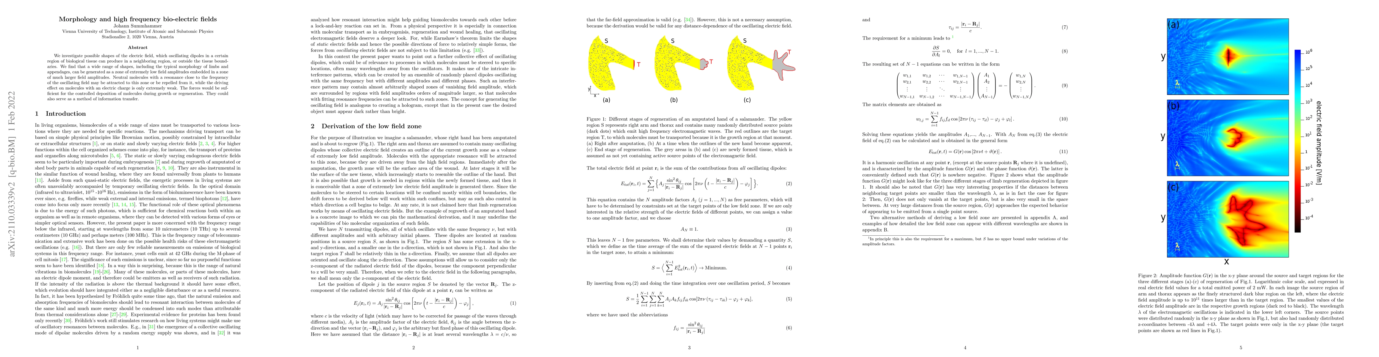 Thumbnail for Morphology and high frequency bio-electric fields