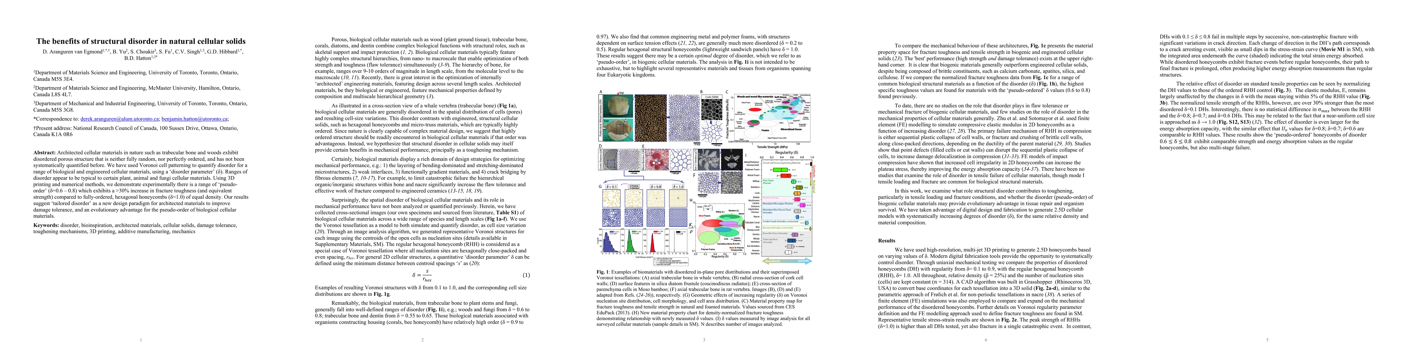 Thumbnail for The benefits of structural disorder in natural cellular solids