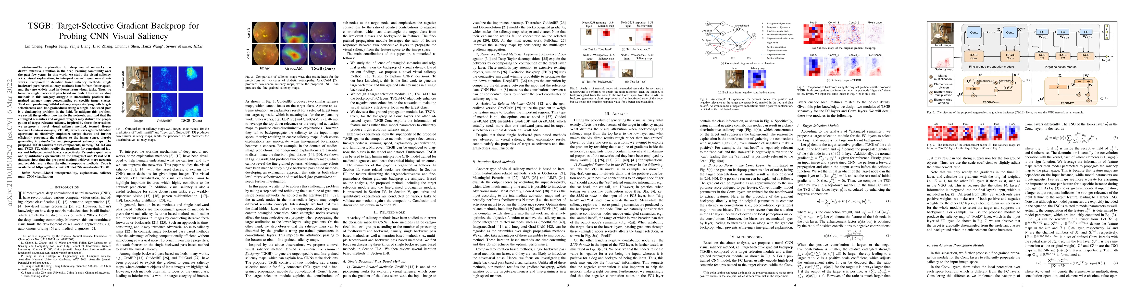 Thumbnail for TSGB: Target-Selective Gradient Backprop for Probing CNN Visual Saliency