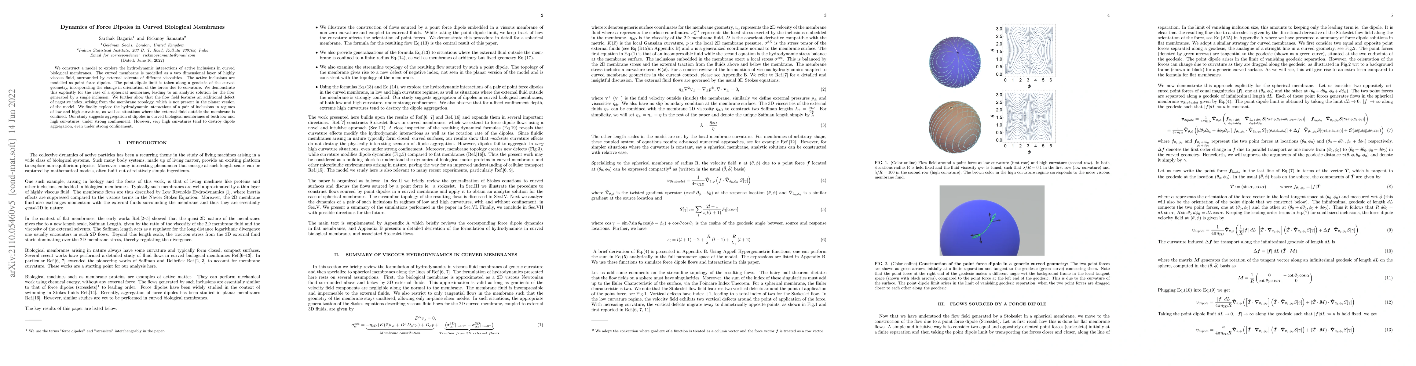 Thumbnail for Dynamics of Force Dipoles in Curved Biological Membranes
