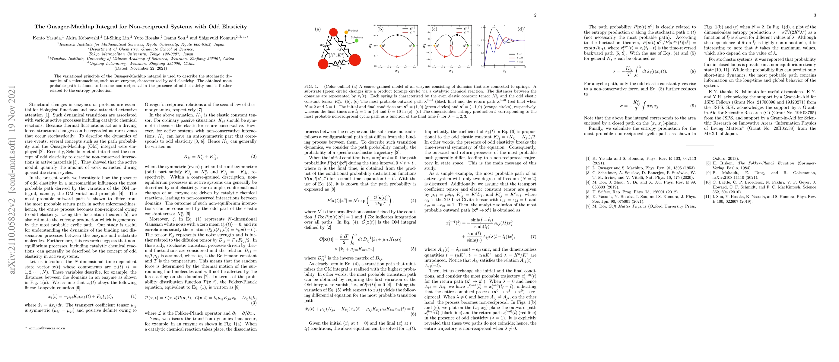 Thumbnail for The Onsager-Machlup Integral for Non-reciprocal Systems with Odd
  Elasticity