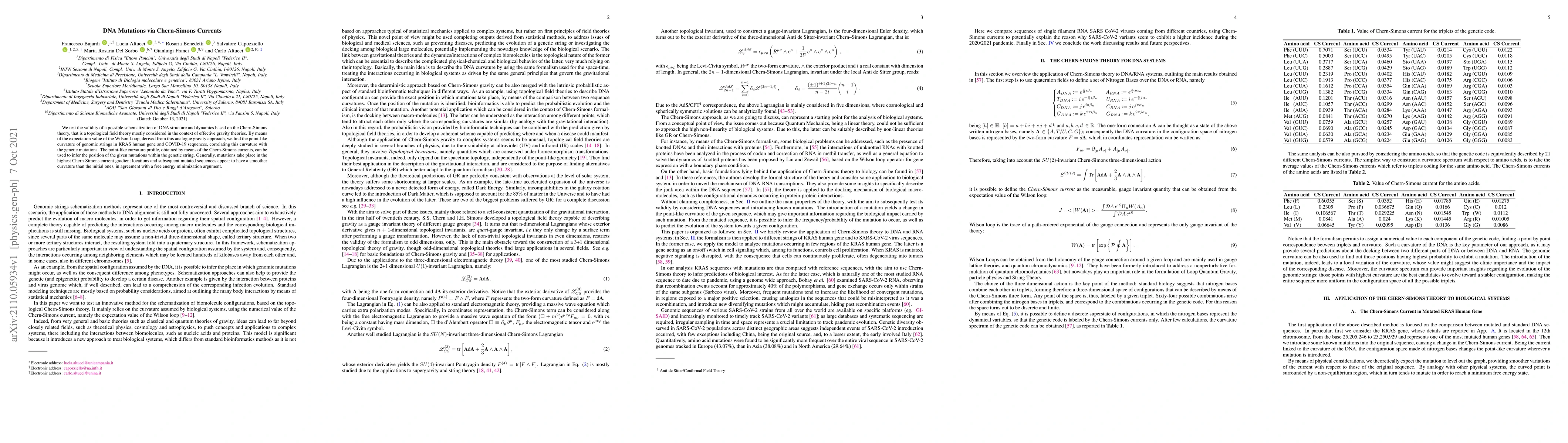 Thumbnail for DNA Mutations via Chern-Simons Currents