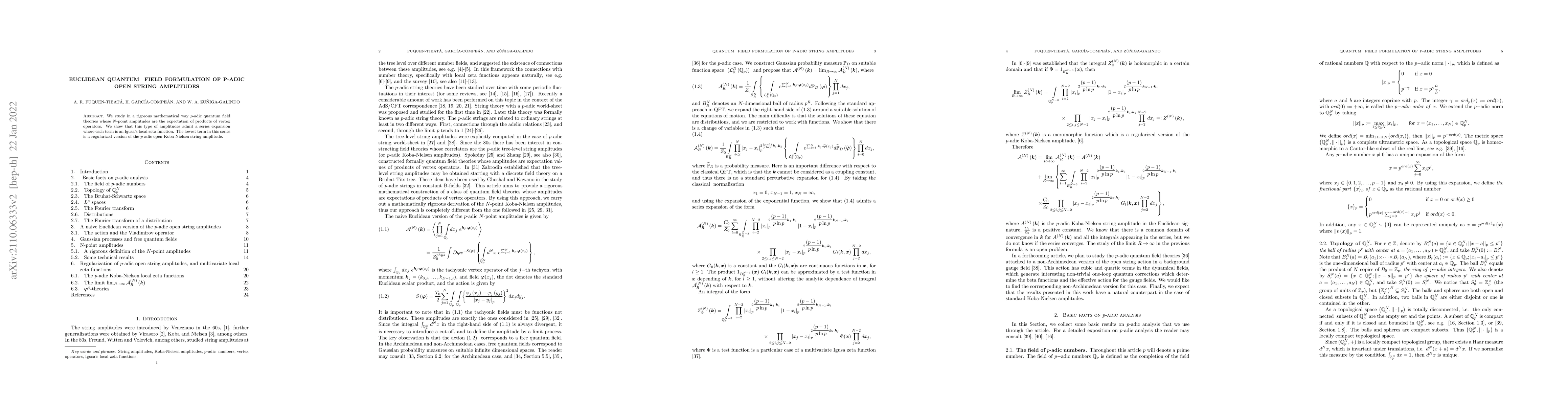Thumbnail for Euclidean Quantum Field Formulation of p-Adic open string amplitudes