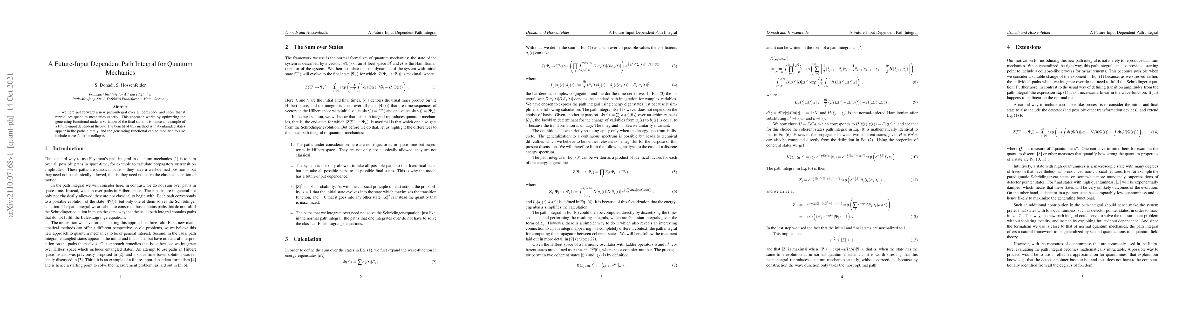 Thumbnail for A Future-Input Dependent Path Integral for Quantum Mechanics