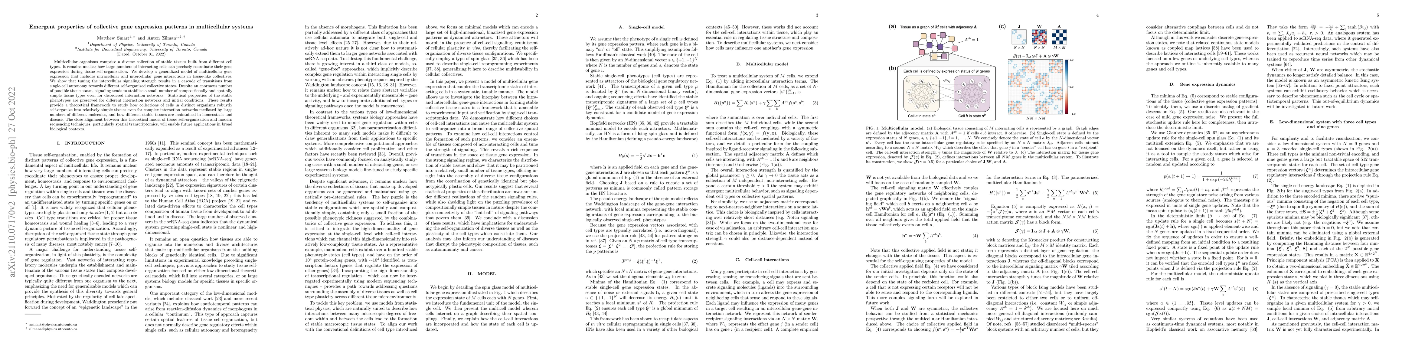 Thumbnail for Emergent properties of collective gene expression patterns in
  multicellular systems
