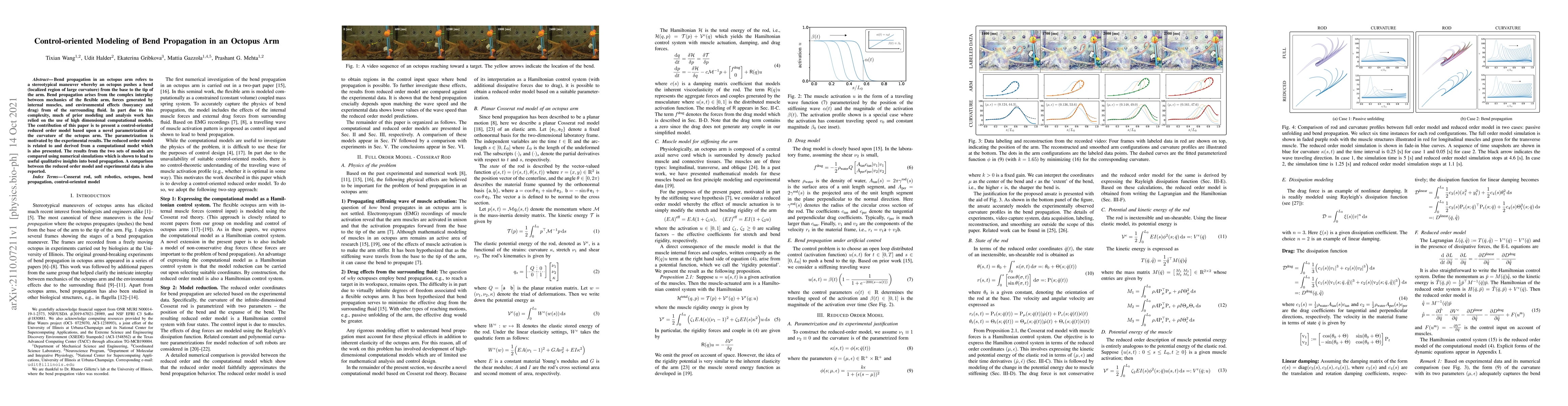 Thumbnail for Control-oriented Modeling of Bend Propagation in an Octopus Arm