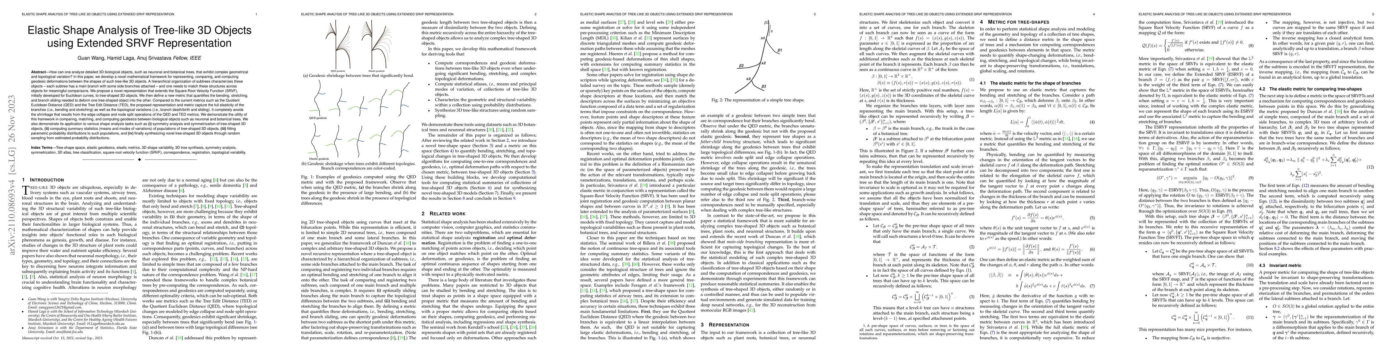 Thumbnail for Elastic Shape Analysis of Tree-like 3D Objects using Extended SRVF
  Representation