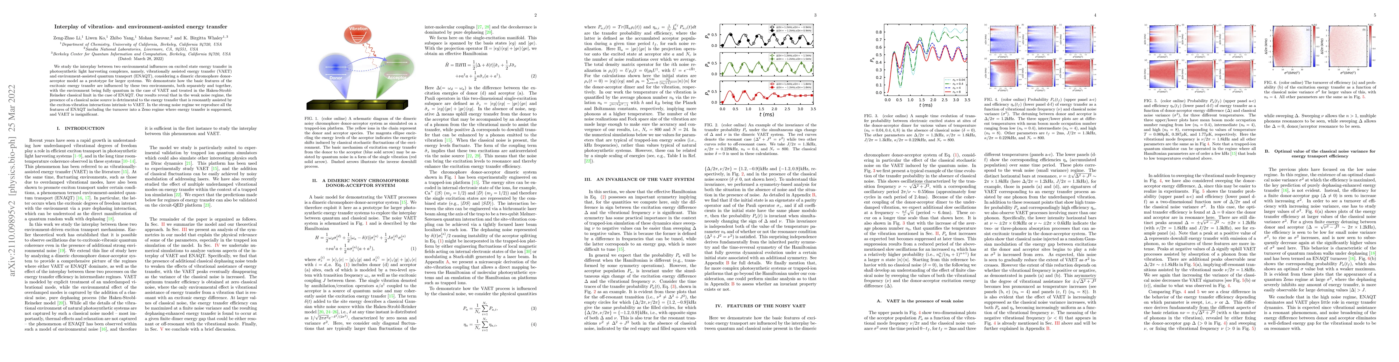 Thumbnail for Interplay of vibration- and environment-assisted energy transfer