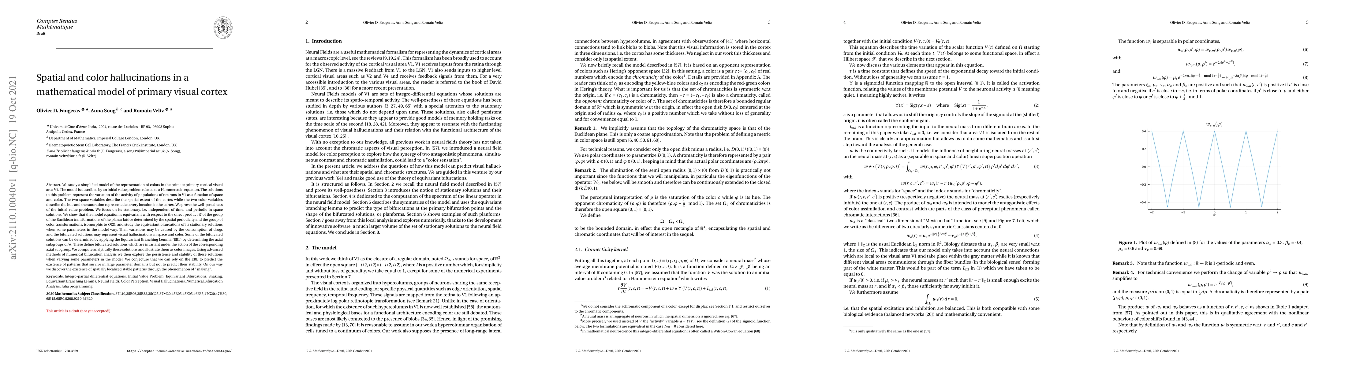 Thumbnail for Spatial and color hallucinations in a mathematical model of primary
  visual cortex