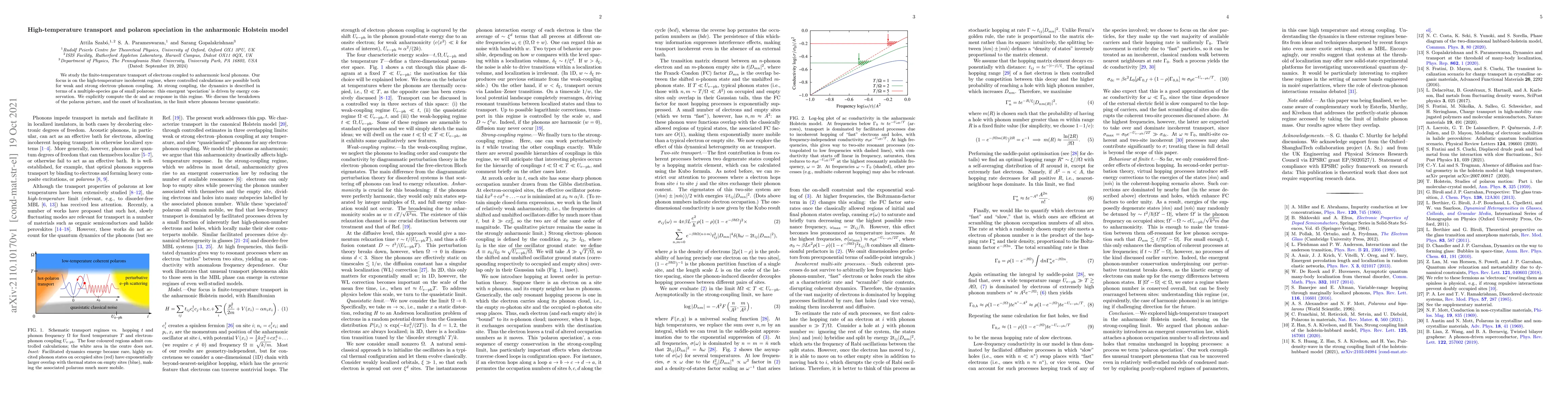 Thumbnail for High-temperature transport and polaron speciation in the anharmonic
  Holstein model