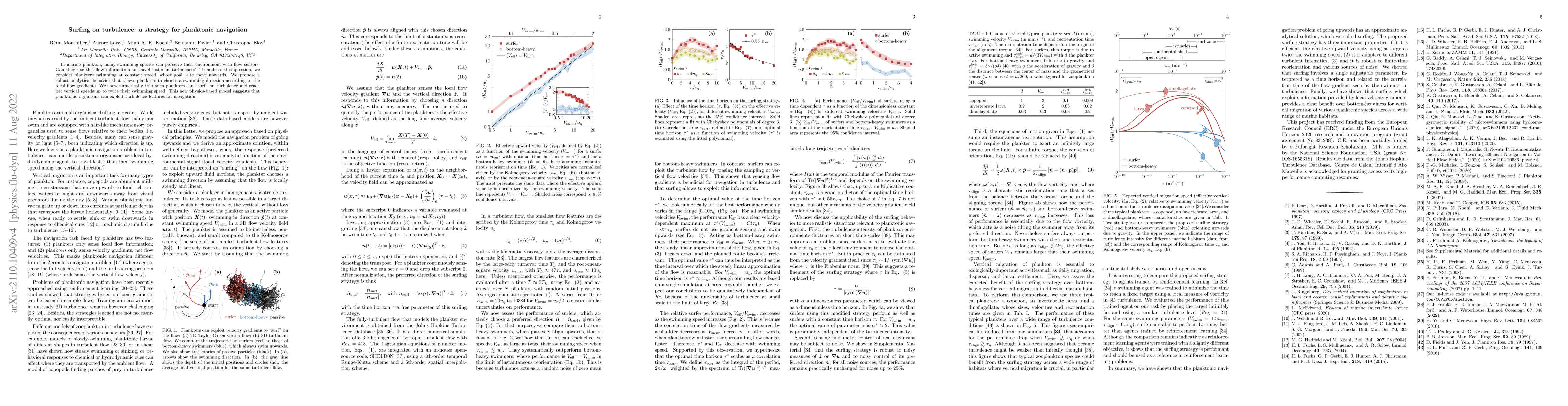 Thumbnail for Surfing on turbulence: a strategy for planktonic navigation