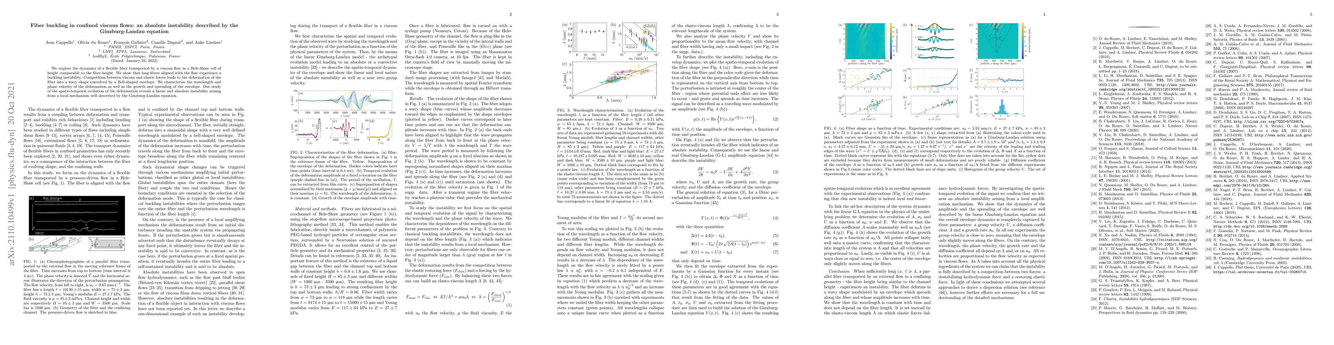 Thumbnail for Fiber buckling in confined viscous flows: an absolute instability
  described by the Ginzburg-Landau equation