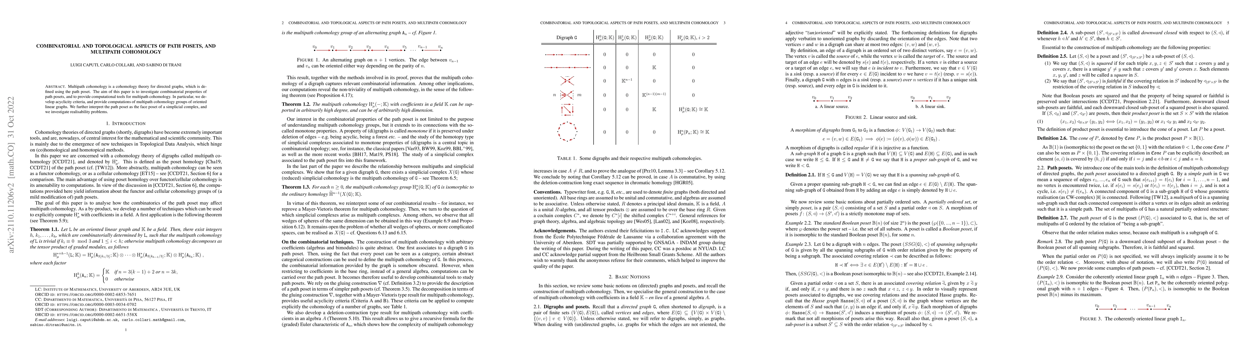 Thumbnail for Combinatorial and Topological Aspects of Path Posets, and Multipath
  Cohomology
