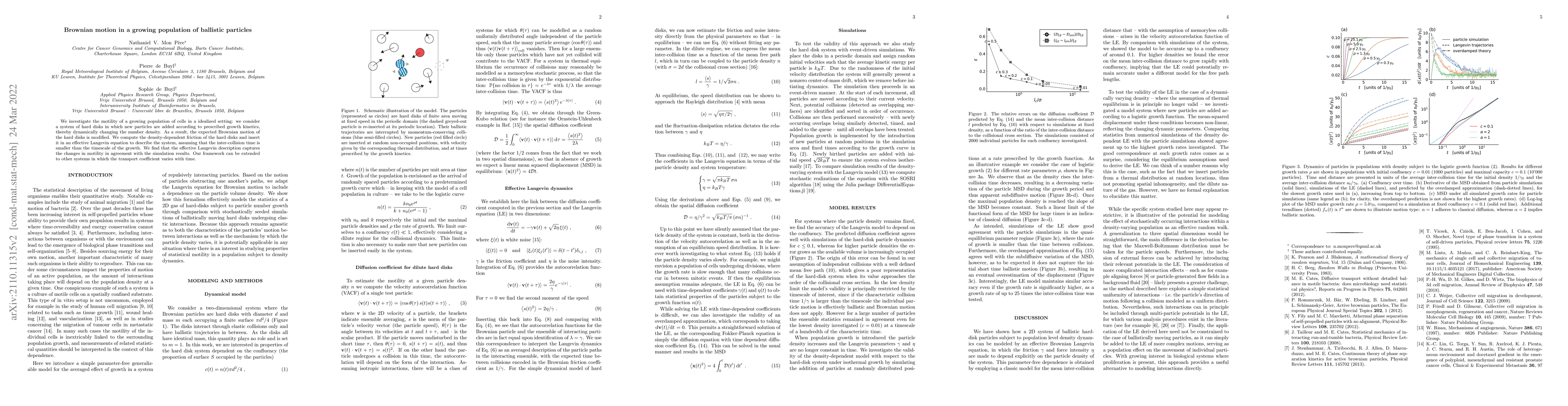 Thumbnail for Brownian motion in a growing population of ballistic particles