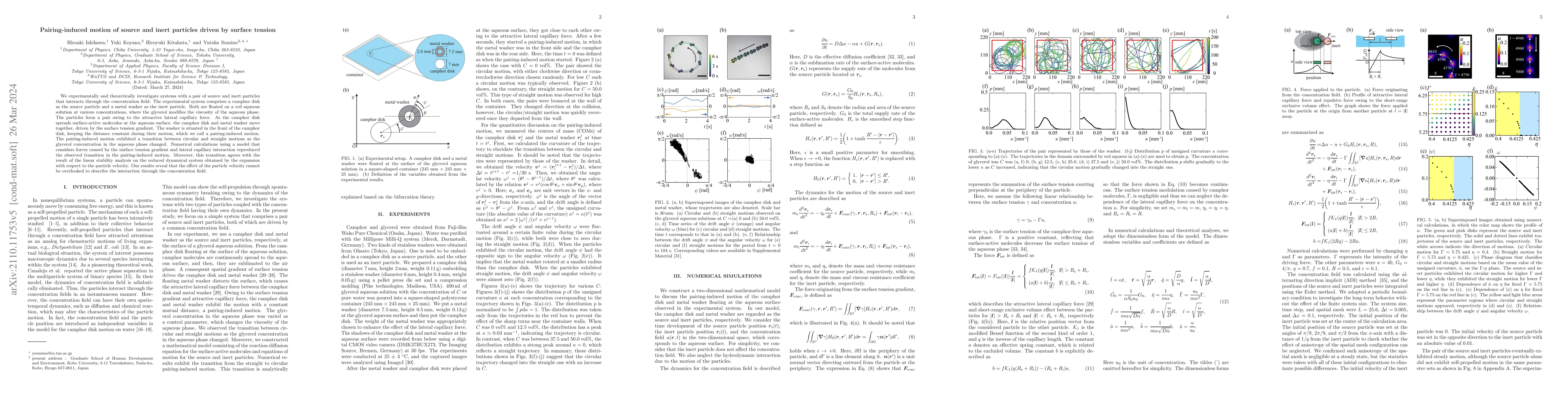 Thumbnail for Pairing-induced motion of source and inert particles driven by surface
  tension