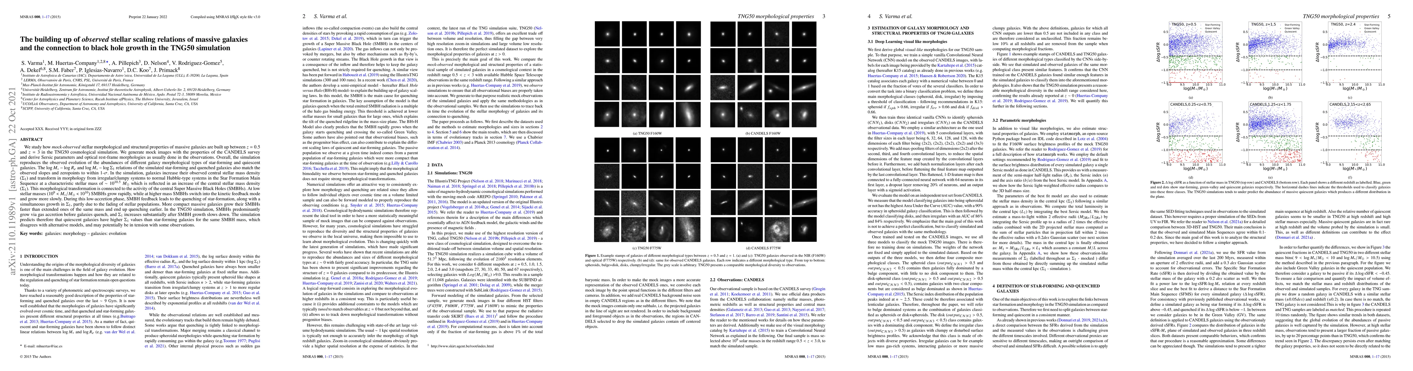 Thumbnail for The building up of observed stellar scaling relations of massive
  galaxies and the connection to black hole growth in the TNG50 simulation