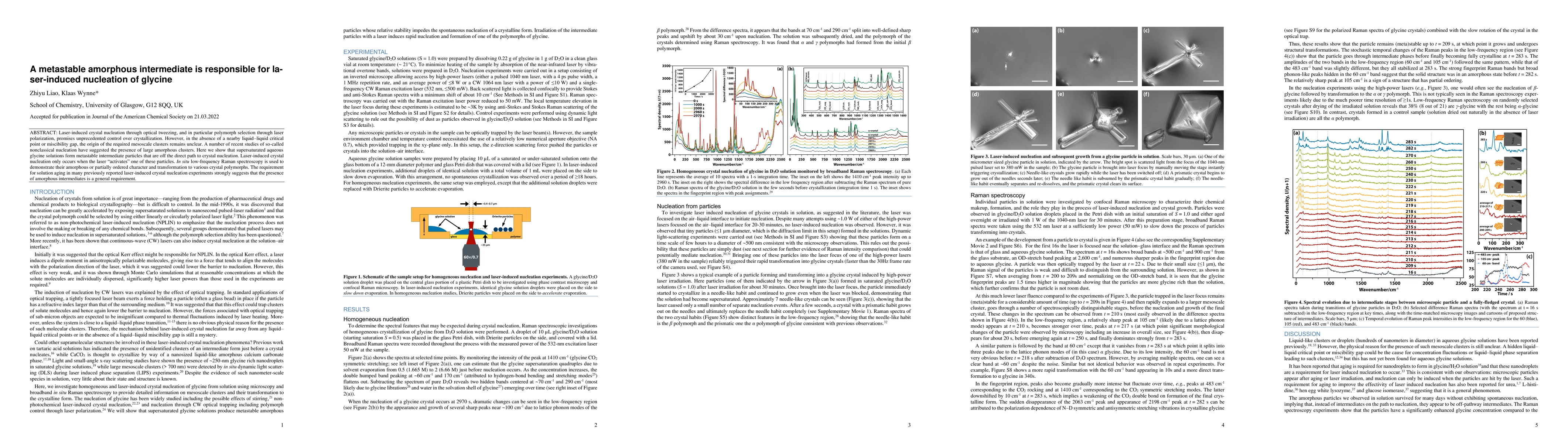 Thumbnail for A metastable amorphous intermediate is responsible for laser-induced
  nucleation of glycine