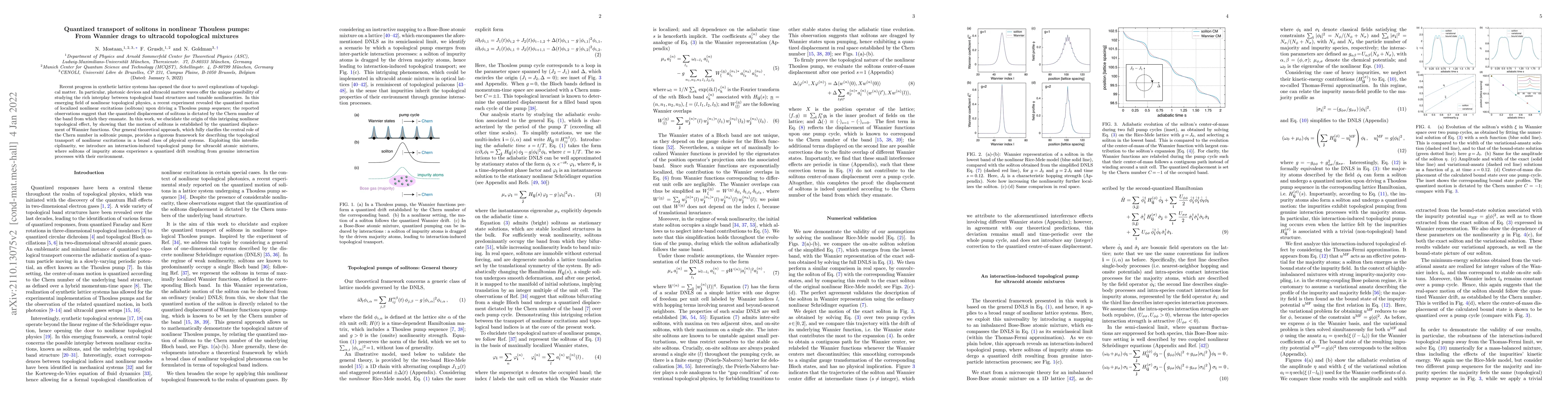 Thumbnail for Quantized transport of solitons in nonlinear Thouless pumps: From
  Wannier drags to ultracold topological mixtures
