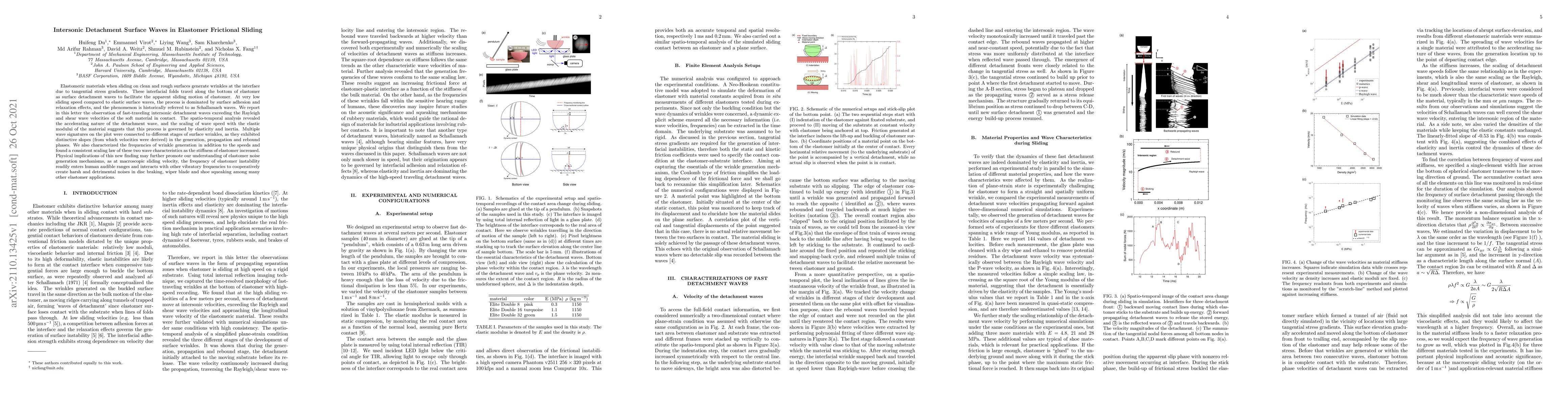Thumbnail for Intersonic Detachment Surface Waves in Elastomer Frictional Sliding