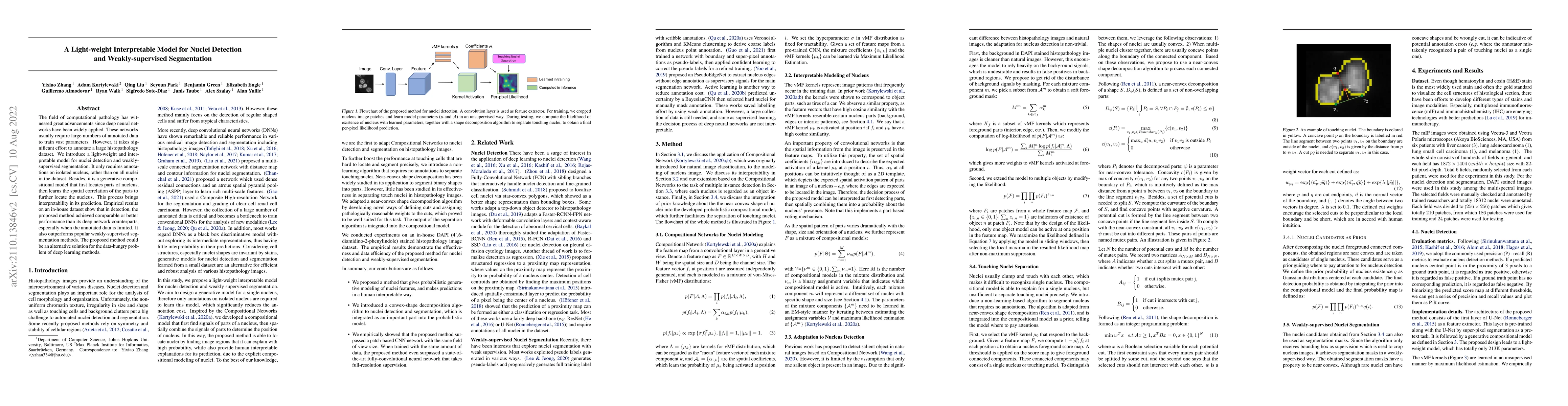 Thumbnail for A Light-weight Interpretable Compositional Model for Nuclei Detection
  and Weakly-Supervised Segmentation