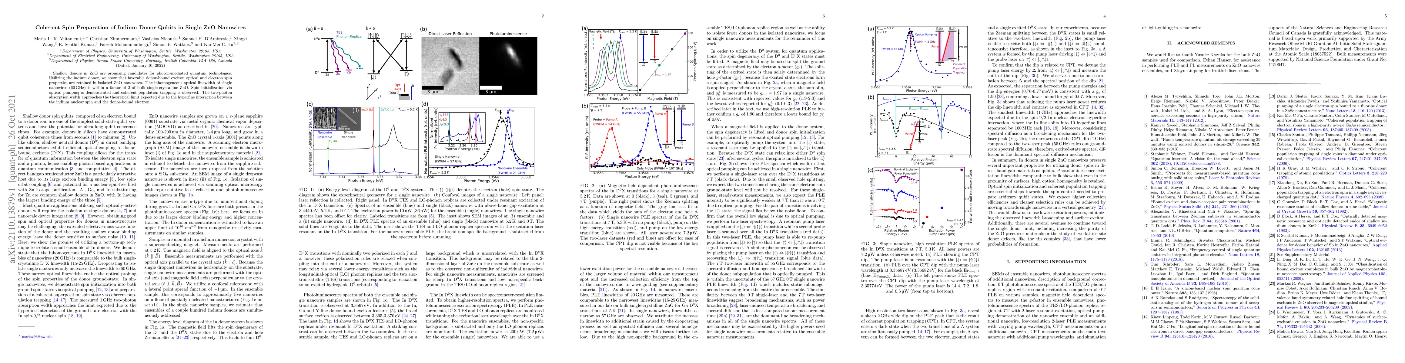 Thumbnail for Coherent Spin Preparation of Indium Donor Qubits in Single ZnO Nanowires