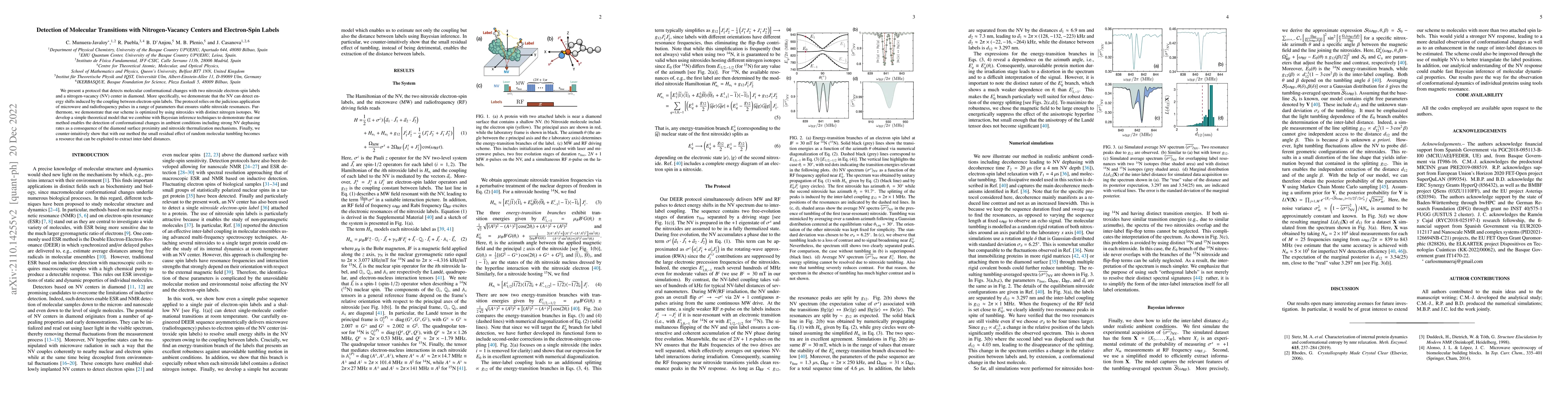 Thumbnail for Detection of Molecular Transitions with Nitrogen-Vacancy Centers and
  Electron-Spin Labels