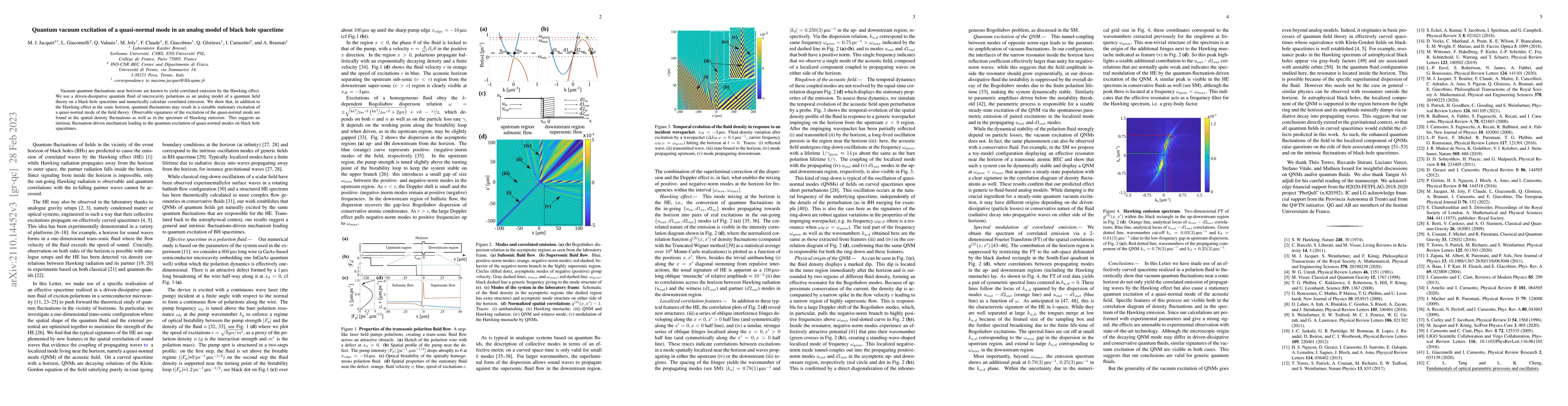 Thumbnail for Quantum vacuum excitation of a quasi-normal mode in an analog model of
  black hole spacetime