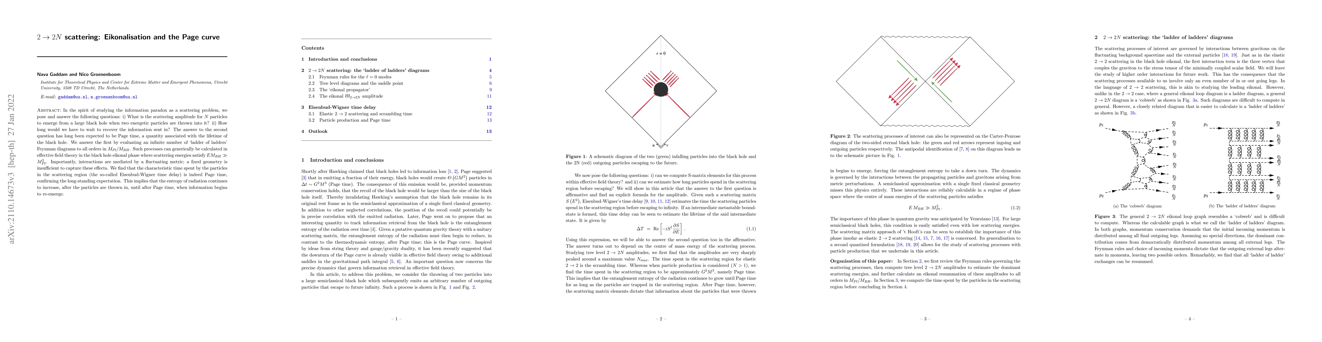 Thumbnail for $2 \rightarrow 2N$ scattering: Eikonalisation and the Page curve
