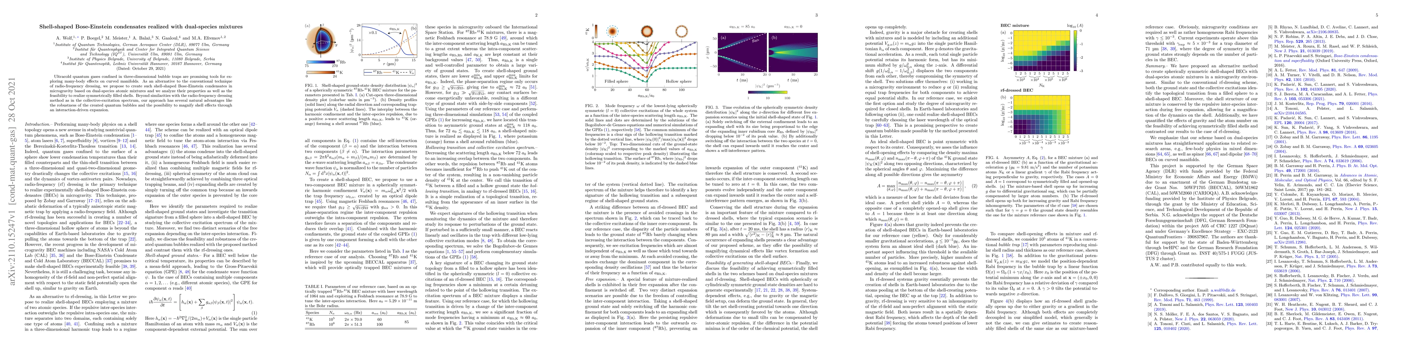 Thumbnail for Shell-shaped Bose-Einstein condensates realized with dual-species
  mixtures