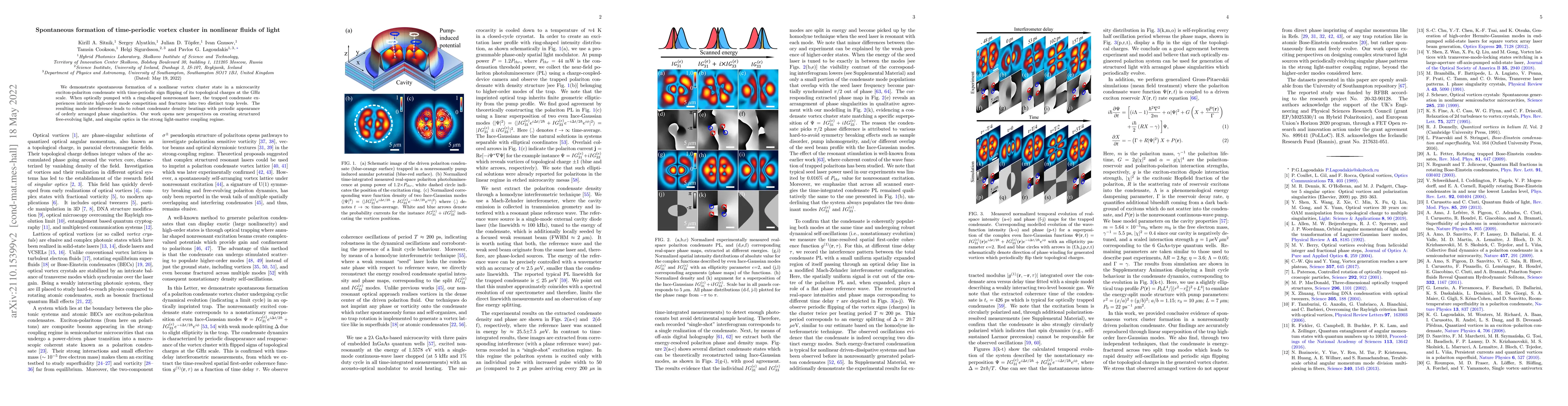 Thumbnail for Spontaneous formation of time-periodic vortex cluster in nonlinear
  fluids of light